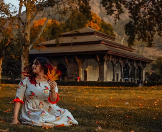 Kashmir Leisure And Luxury Tours